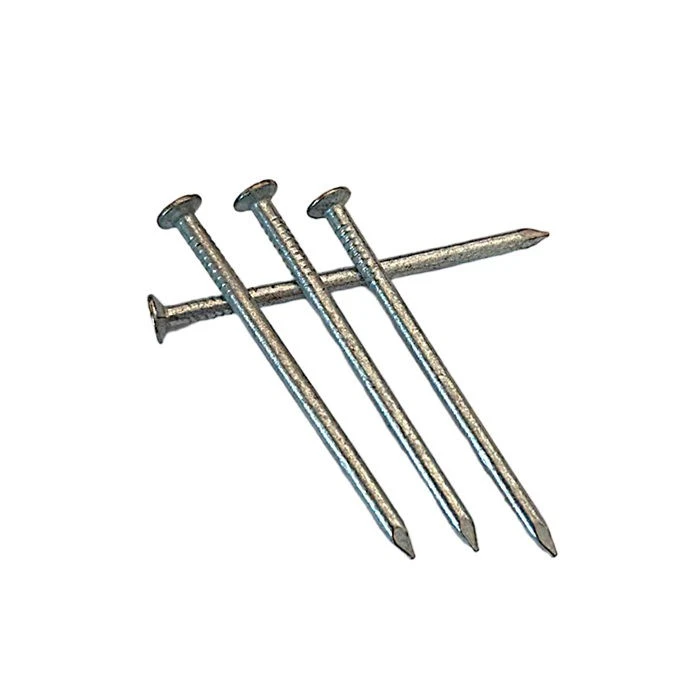 Galvanized Iron Nail Galvanized Iron Nail